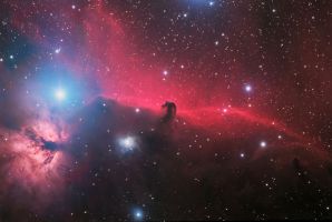 The Horsehead Nebula