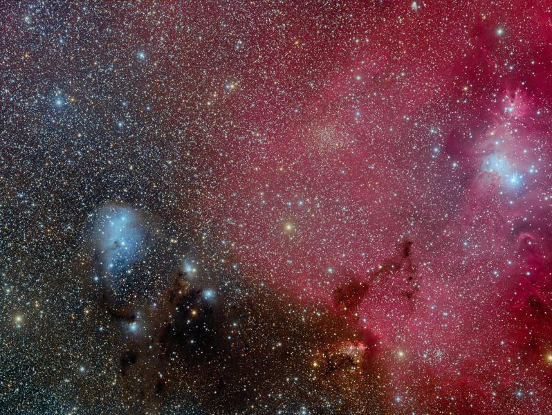 IC 447 and the Cone